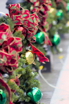 Puerto Rico - San Juan: Christmas decorations (photo by D.Smith)