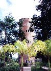 Puerto Rico - El Yunque: Torre de observacin (photo by M.Torres)