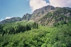 Russia - Karachay-Cherkessia - Pkhiya mountains: forest (photo by Dalkhat M. Ediev)