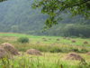 Russia - Karachay-Cherkessia - Arkhyz: fields at the Alanian city of Maas (photo by Dalkhat M. Ediev)