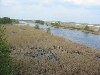 Russia - Voronezh river - a left tributary of the Don (photo by Dalkhat M. Ediev)