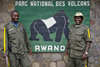 Volcanoes National Park / Parc National des Volcans, Northern Province, Rwanda: Park Rangers at Volcanoes National Park,home of the largest population of Mountain Gorillas in the world - photo by C.Lovell