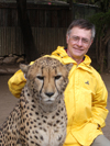 South Africa - Petting a Cheetah, big cats rehab ctr, Oudtshoorn - photo by B.Cain