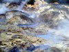 St Lucia: La Soufrire Sulphur Springs, known as 'worlds only drive-in volcano' - La Soufrire volcano - malodorous fumes in the crater / vulco / vulkan - photo by Robert Ziff