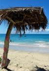 St Vincent and the Grenadines - Bequia island: beach shade (photographer: Pamala Baldwin)
