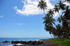 Esprainha, Lemb district, So Tom and Prncipe / STP: coconut-tree lined coast / costa e coqueiros - photo by M.Torres