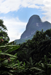 Maria Fernandes peak / pico Maria Fernandes, Cau district, So Tom and Prcipe / STP: mountain and rain forest - local superstition warns against pointing at the peak, or rain will come - phonolitic rock tower - Holocene basalt / montanha e floresta - photo by M.Torres