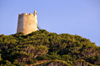 Baia di Chia, Domus de Maria municipality, Cagliari province, Sardinia / Sardegna / Sardigna: Aragonese tower of Chia / Bitia, near the Phoenician-Punic settlement of Bithia - 17th century watchtower atop a promontory - junipers at Capo Spartivento - photo by M.Torres