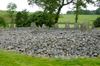Scotland - Kilmartin: remains of stone circle near Kilmartin's linear cemetery - Argyll & Bute - photo by C. McEachern