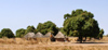 Senegal - Savannah: huts - photo by G.Frysinger