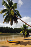 Mahe, Seychelles: Anse Etoile - beach, coconut tree and Perseverance island - photo by M.Torres