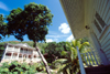 Seychelles - Praslin island: in the jungle - Hotel La Reserve - photo by F.Rigaud