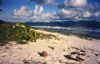 Seychelles - Aride island: the beach (photo by G.Frysinger))