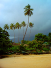 Lakka Beach, Freetown Peninsula, Sierra Leone: storm clouds behind palm trees - photo by T.Trenchard