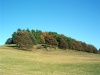 Slovakia - Zolna: autumn - hill - field - Zvolen District - Bansk Bystrica Region - photo by Milos Bercik