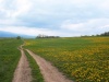 Slovakia - Zlaty Potok - Golden Creek village, Zvolen: road through a field  - Bansk Bystrica Region - photo by Milos Bercik