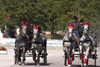 Slovenia - Lipica / Lipizza - Goriska region: Lipica stud farm - Combined driving event - two britzkas - Carriage Driving - photo by I.Middleton