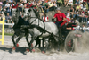 Slovenia - Lipica / Lipizza - Goriska region: Lipica stud farm - Combined driving event - Carriage Driving - negotiating the sand - photo by I.Middleton