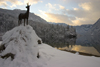 Slovenia - Ribcev Laz - statue of the mythical chamois beside Bohinj Lake at sundown - photo by I.Middleton