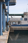 Slovenia - Portoroz: ferry and Asian fishing methods - seafront, Adriatic coast - photo by I.Middleton