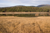 Slovenia - Pivka Valley: Palsko lake - grassland and forest - photo by I.Middleton