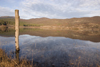 Slovenia - Pivka Valley: Palsko lake - pole and reflection fo the sky - photo by I.Middleton