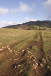 Slovenia - Cerknica municipality: tracks and hikers on Slivnica Mountain - photo by I.Middleton