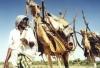 Berbera (Somaliland): nomads in migration, their house on their camels - nomadic tribesmen of the Horn of Africa (photo by Silvia Montevecchi)