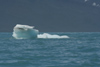 South Georgia Island - Husvik - iceberg on Stromness Bay - Antarctic region images by C.Breschi