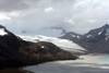 South Georgia Island - Hutsvik - glacier - Antarctic region images by C.Breschi
