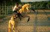 Spain - Villamartn -  Cadiz province - Rider performing a Spin Up, Horse training centre - photo by K.Strobel