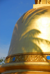 Dambulla, Central Province, Sri Lanka: golden stupa and palm tree shadow - Dambulla cave temple - UNESCO World Heritage Site - photo by M.Torres