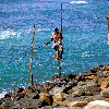 Talpe, Southern Province, Sri lanka: stilt fisherman / stilt-angler - near Unawatuna - photo by W.Allgwer
