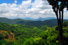 Kegalle, Sabaragamuwa province, Sri Lanka: jungle and landscape - Rambukkana - photo by M.Torres