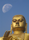 Dambulla, Sri Lanka: Golden Buddha & moon, Golden Temple of Dambulla, Unesco world heritage site - photo by B.Cain