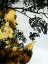Dambulla, Sri Lanka: Golden Buddha through trees, Golden Temple of Dambulla, Unesco world heritage site - photo by B.Cain