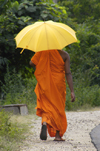 near Dambulla, Sri Lanka: monk walking away under umbrella - photo by B.Cain