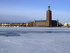 Stockholm, Sweden: Stadshuset in winter - photo by M.Bergsma