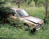 Vastra Gotaland County, Sweden - derelict car in a field - photo by A.Bartel