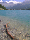 Switzerland - Maloja / Maloggia - Graubnden / Grigioni canton - log on Lake Silvaplana / Silvaplanersee - photo by J.Kaman