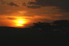 Africa - Tanzania - Sunset over Serengeti National Park - photo by A.Ferrari