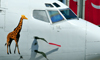 Dar es Salaam, Tanzania: giraffe and cockpit - Air Tanzania Boeing 737-247 5H-MVV (cn 23520-1329) - aircraft at Julius Nyerere International Airport - JNIA - DAR - photo by M.Torres