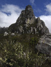 Australia - Tasmania - FranklinGordon Wild Rivers National Park: peak - Tasmanian Wilderness World Heritage Area (photo by  M.Samper)