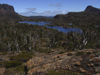 Tasmania - Cradle Mountain - Lake St Clair National Park: Overland Track - lake (photo by M.Samper)
