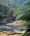 Tasmania - Wilderness near Strahan - Western Tasmania - Unesco world heritage site (photo by Fiona Hoskin)