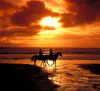 Strahan region: horse riders - sunset - West Coast municipality (photo by Picture Tasmania/S.Lovegrove)