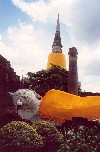 Thailand - Ayutthaya / Ayudhaya : Wat Yai Chaya Mongkol (The Great Temple of Auspicious Victory) (photo by M.Torres)