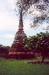 Thailand - Ayutthaya: stupa at Wat Mahathat (photo by M.Torres)