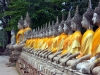 Thailand - Ayutthaya / Ayuttya: line of Buddhas (photo by P.Artus)
