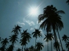 Thailand - Thailand - Railay (Krabi province): sun and coconut trees (photo by Ben Jackson)